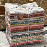 A Letter to My Daughter Quilt - Fat 1/4 Starter Bundle